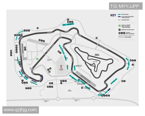F1赛季车队策略调整及赛道适应性分析